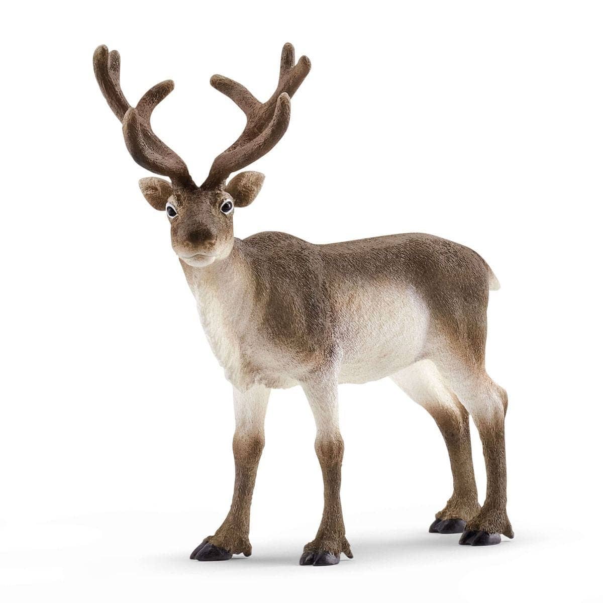 Schleich - Reindeer Wildlife Animal Figurine
