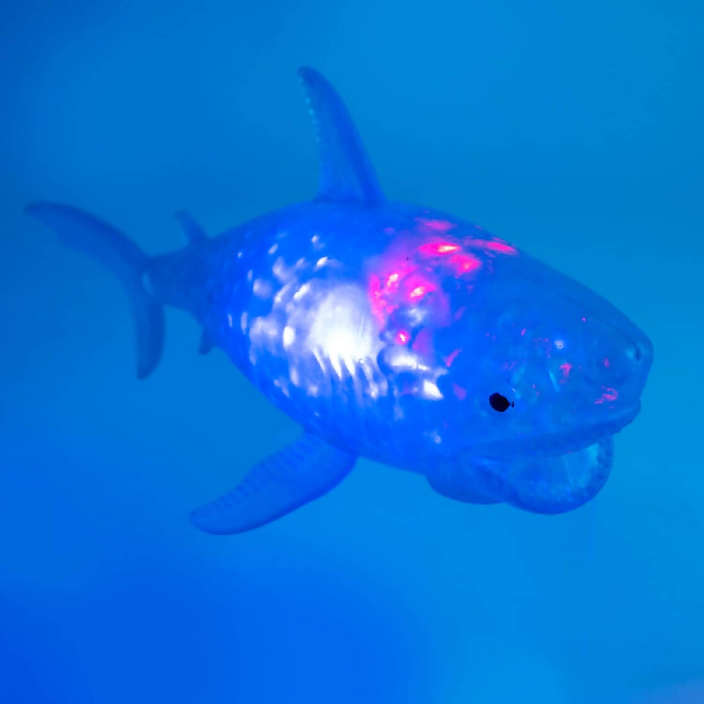 MDI - Squishy Bubble Shark Light Up