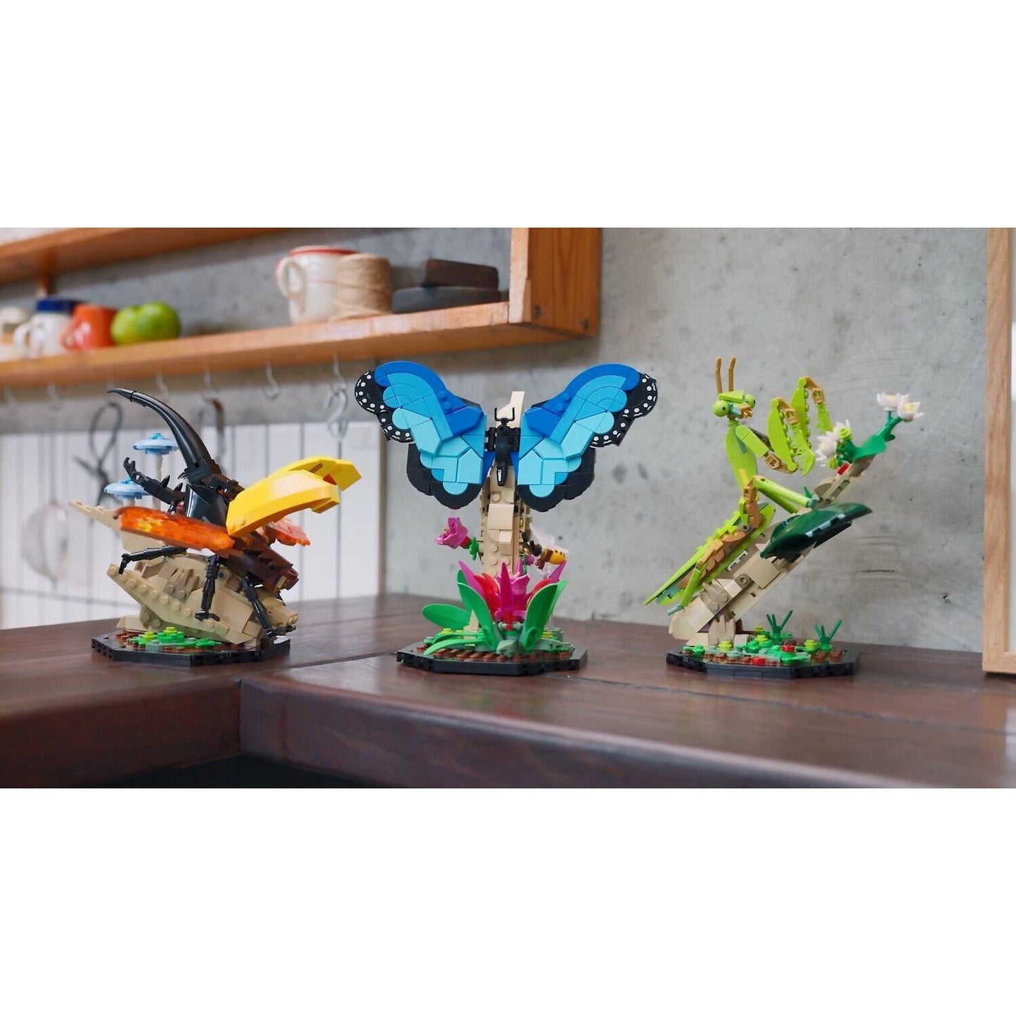 LEGO 21342 The Insect Collection - Ideas