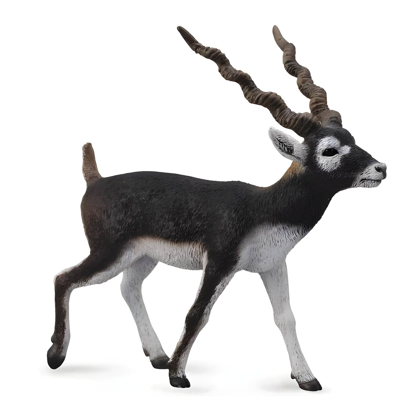 CollectA - Blackbuck Large Animal Figurine
