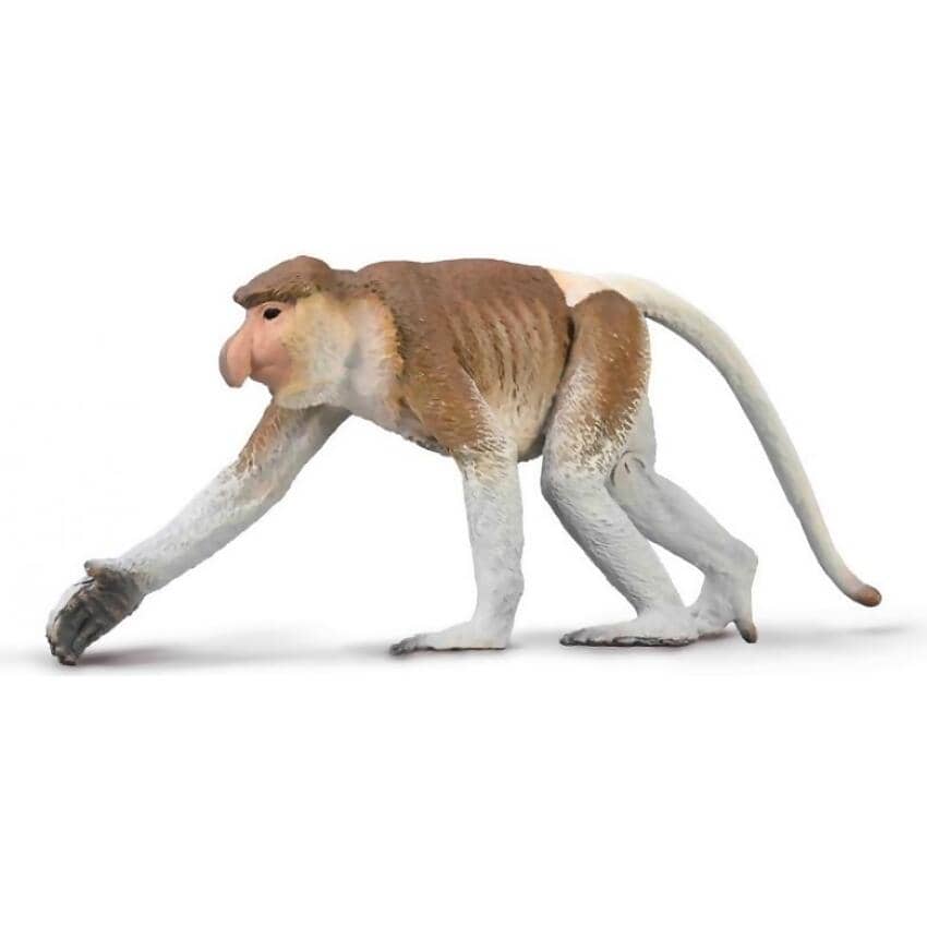CollectA - Proboscis Monkey Animal Figurine