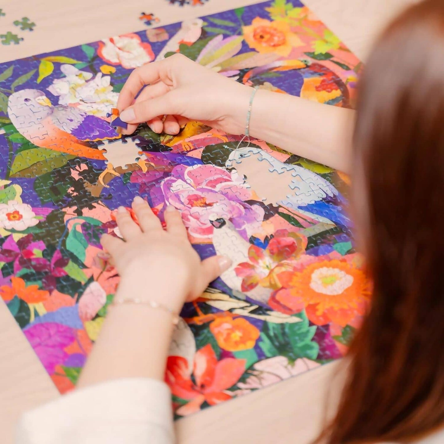 Ravensburger - Bird Watching Jigsaw Puzzle 750pc