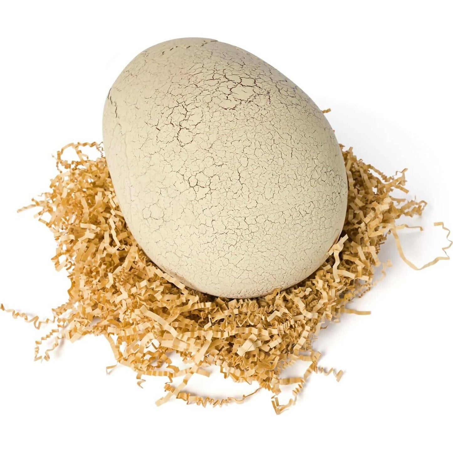 Jurassic World - Primal Hatch T.Rex Interactive Toy Dinosaur & Egg