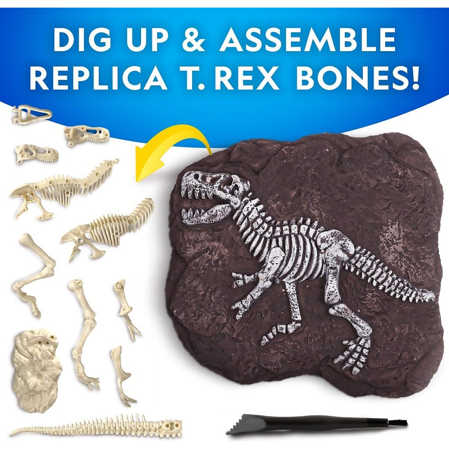 National Geographic - Tyrannosaurus Rex Dig Kit