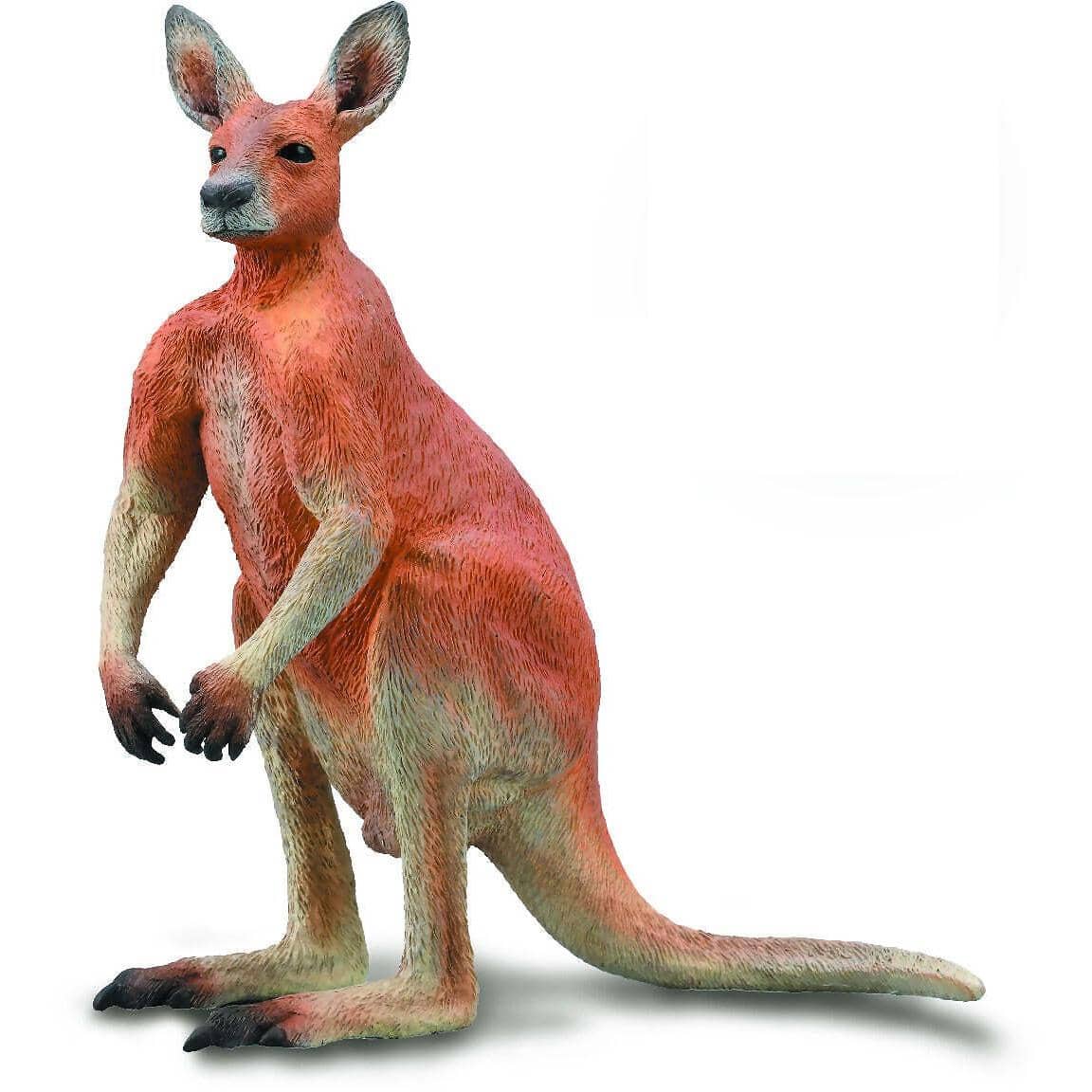 CollectA - Red Kangaroo Male Large Australian Animal Figurine