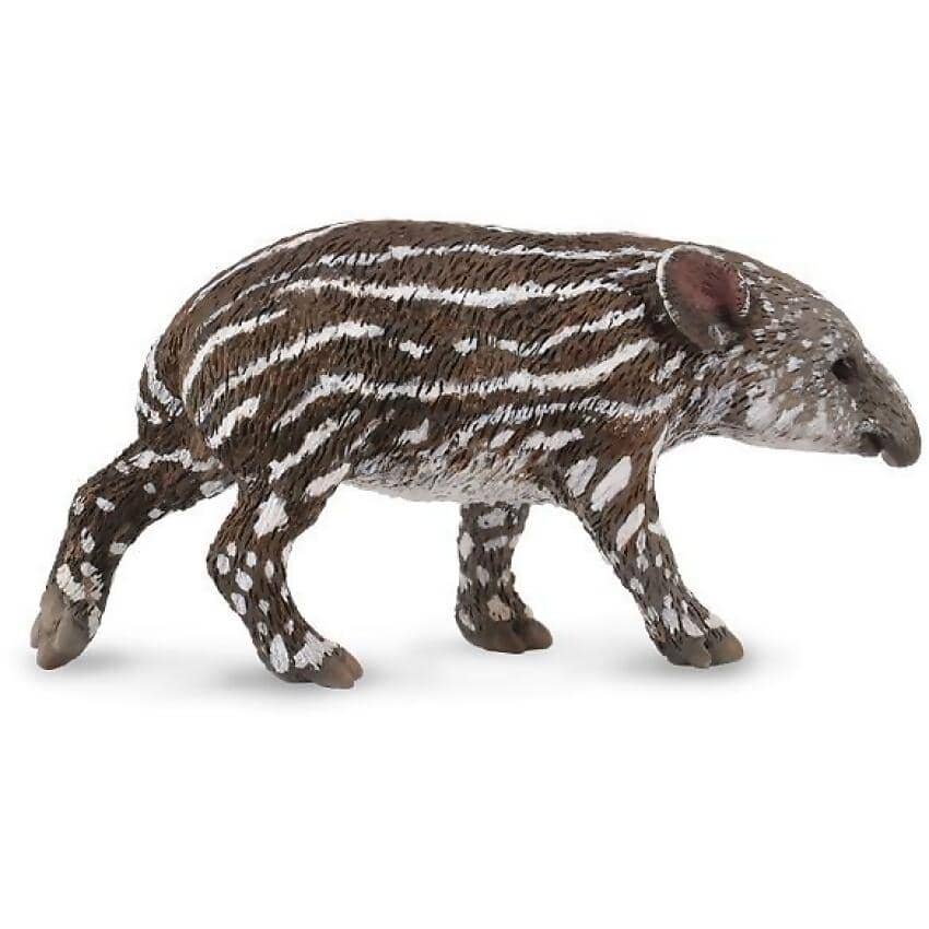 CollectA - Bairds Tapir Baby Small Wild Animal Figurine
