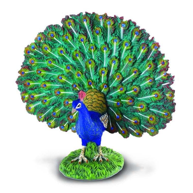 CollectA- Peacock Bird Animal Figurine