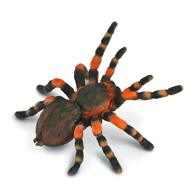 CollectA - Mexican Red Knee Tarantula Spider Animal Figurine