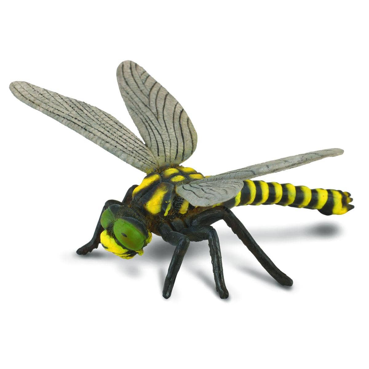 CollectA - Golden Ringed Dragonfly Animal Figurine