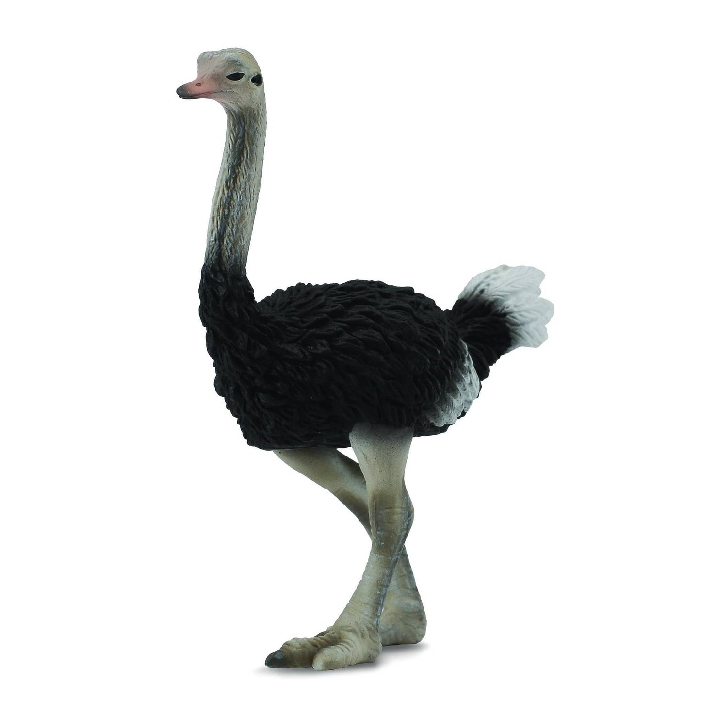 CollectA - Ostrich Animal Figurine