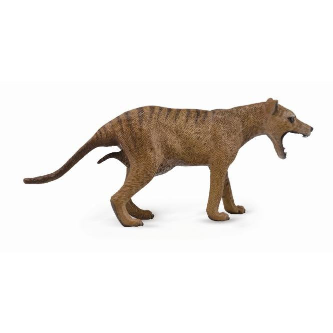 CollectA - Tasmanian Tiger Female Large Animal Figurine
