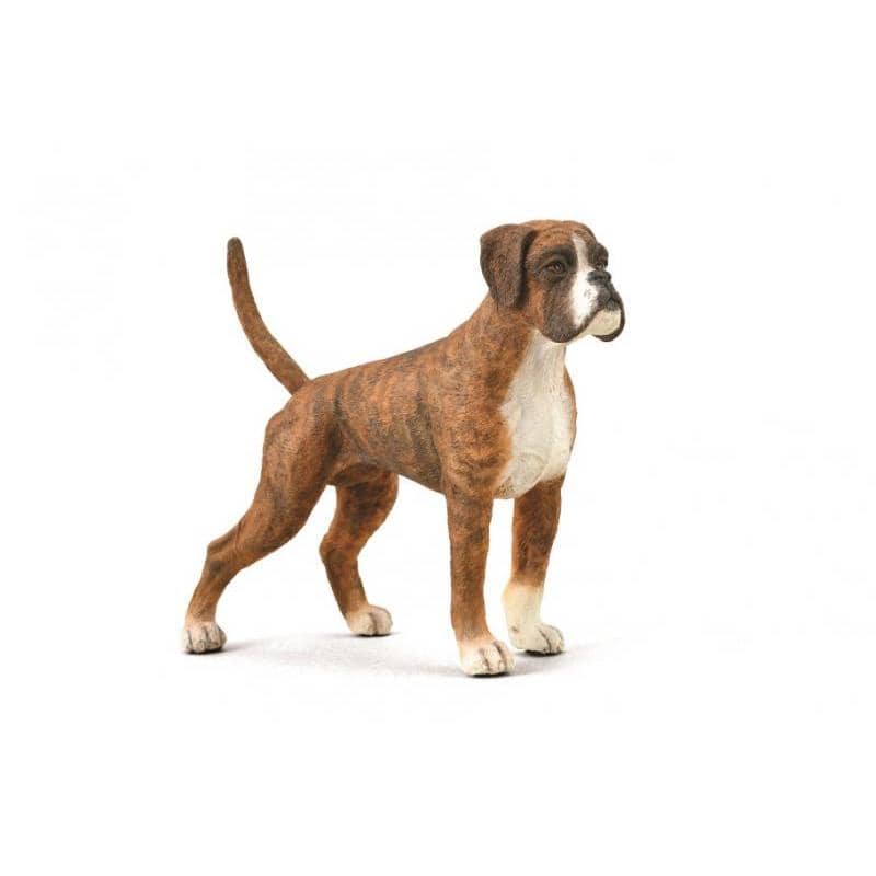 CollectA - Boxer Dog Animal Figurine