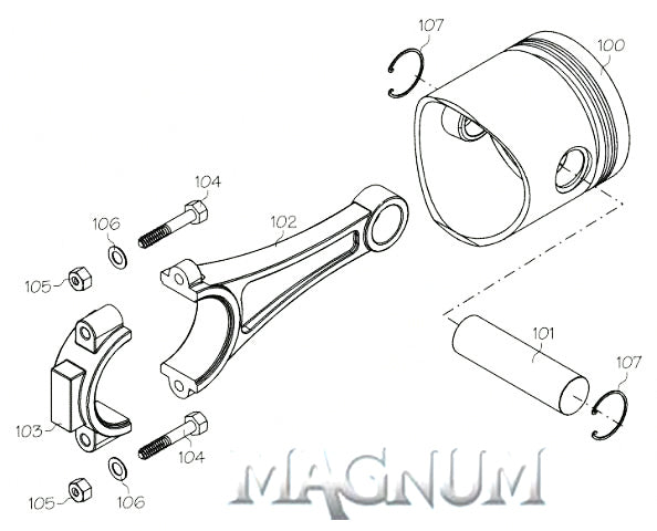 120901 (MAGNUM ENGINE PART) SCREW SET