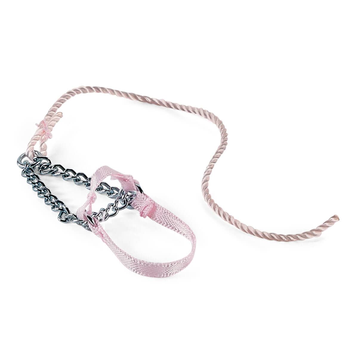 Schleich - Friendship Horse Tournament  Animal Playset