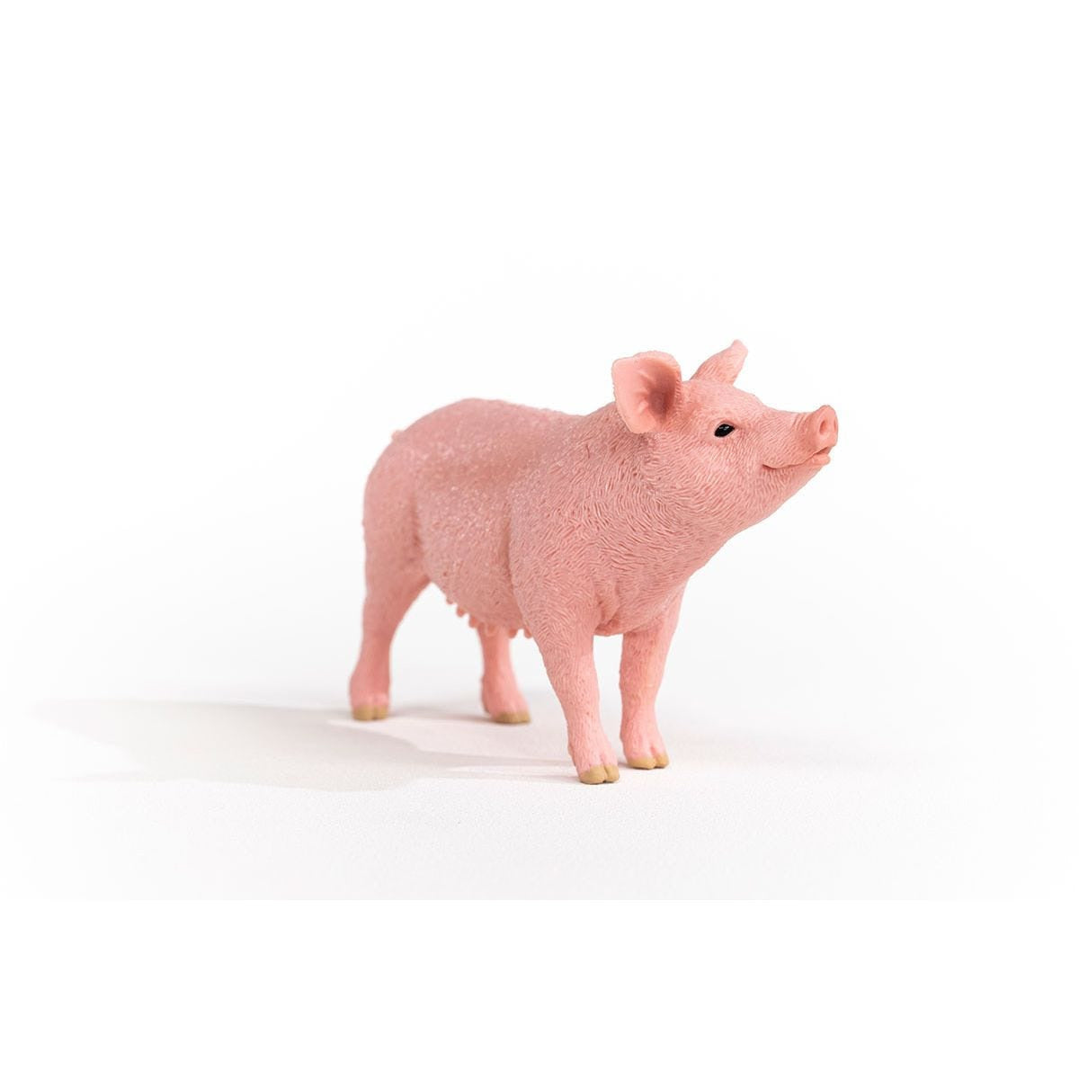 Schleich - Pig Animal Figurine