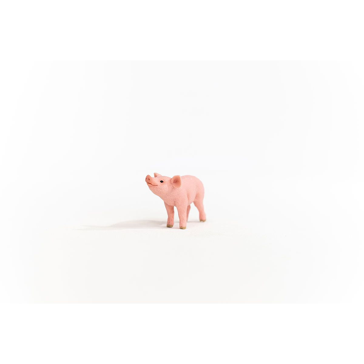 Schleich - Piglet Baby Pig Figurine