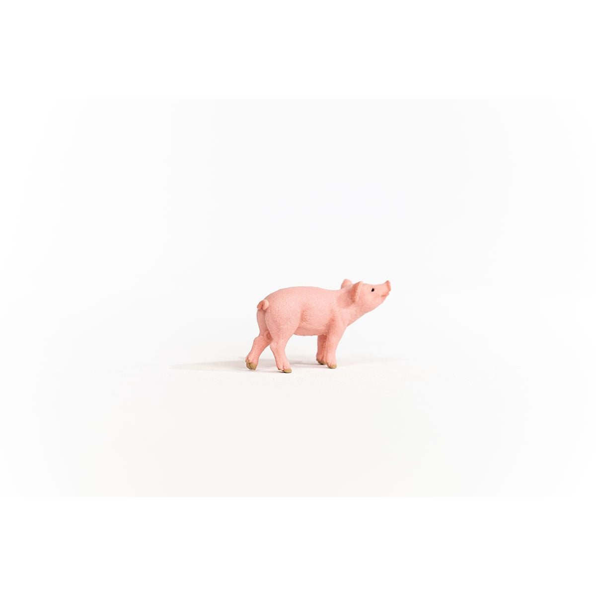 Schleich - Piglet Baby Pig Figurine