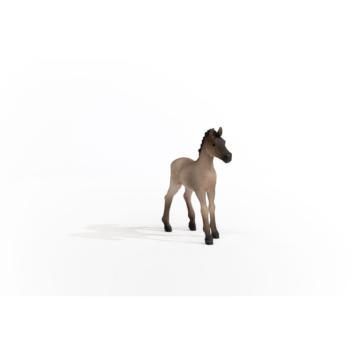 Schleich - Criollo Definitivo Foal Horse Figurine
