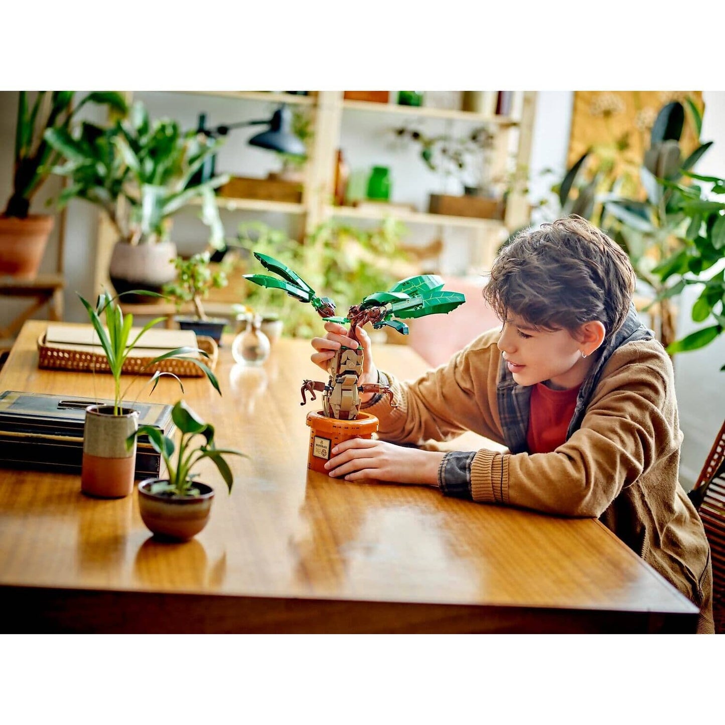 LEGO 76433 Mandrake - Harry Potter