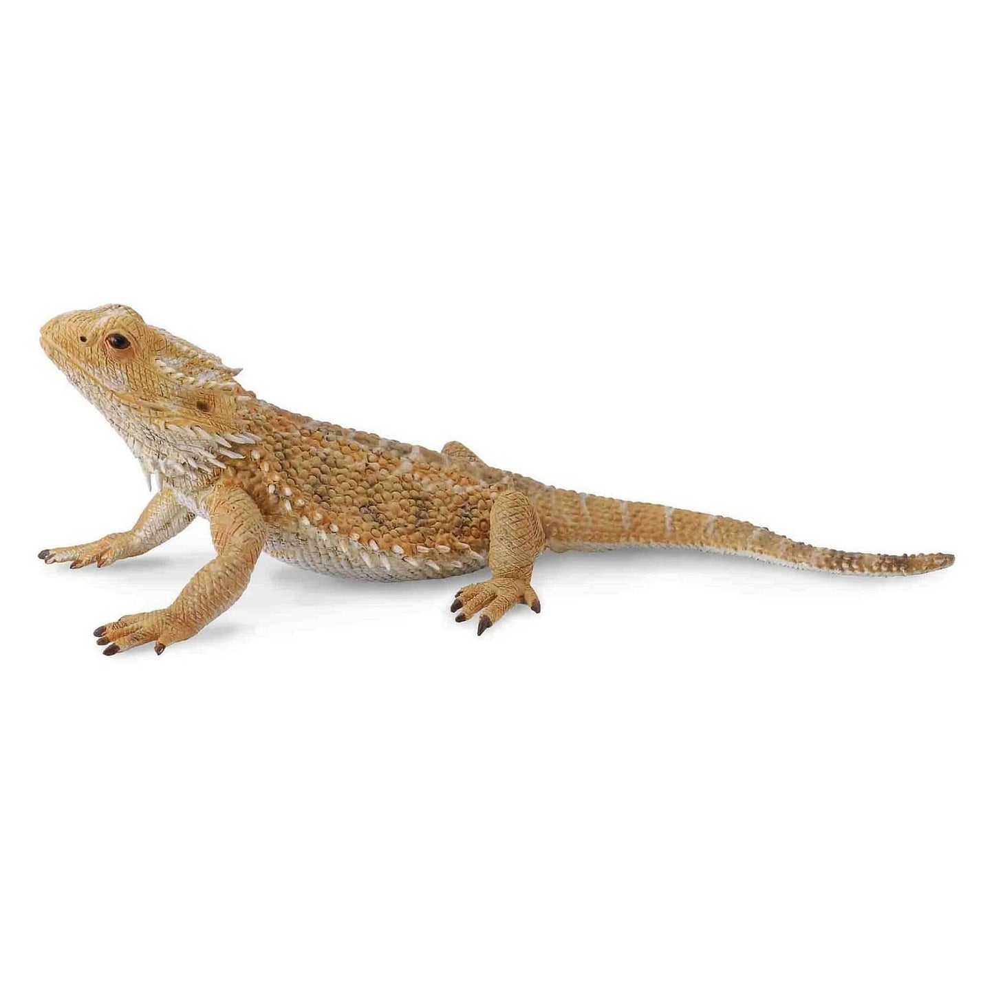 CollectA - Bearded Dragon Lizard Animal Figurine