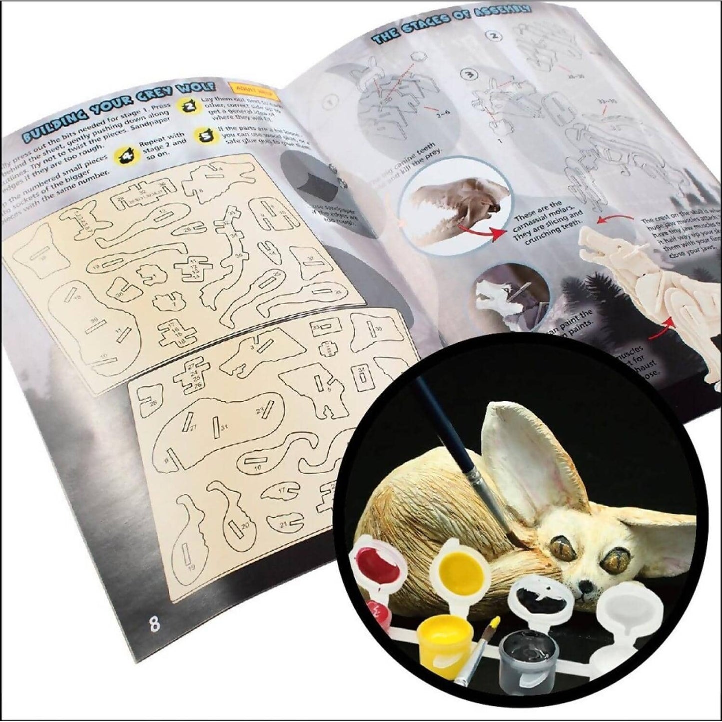 Australian Geographic - Wild Dogs Of The World Kit