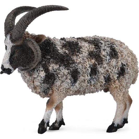 CollectA - Jacob Sheep Large Figurine
