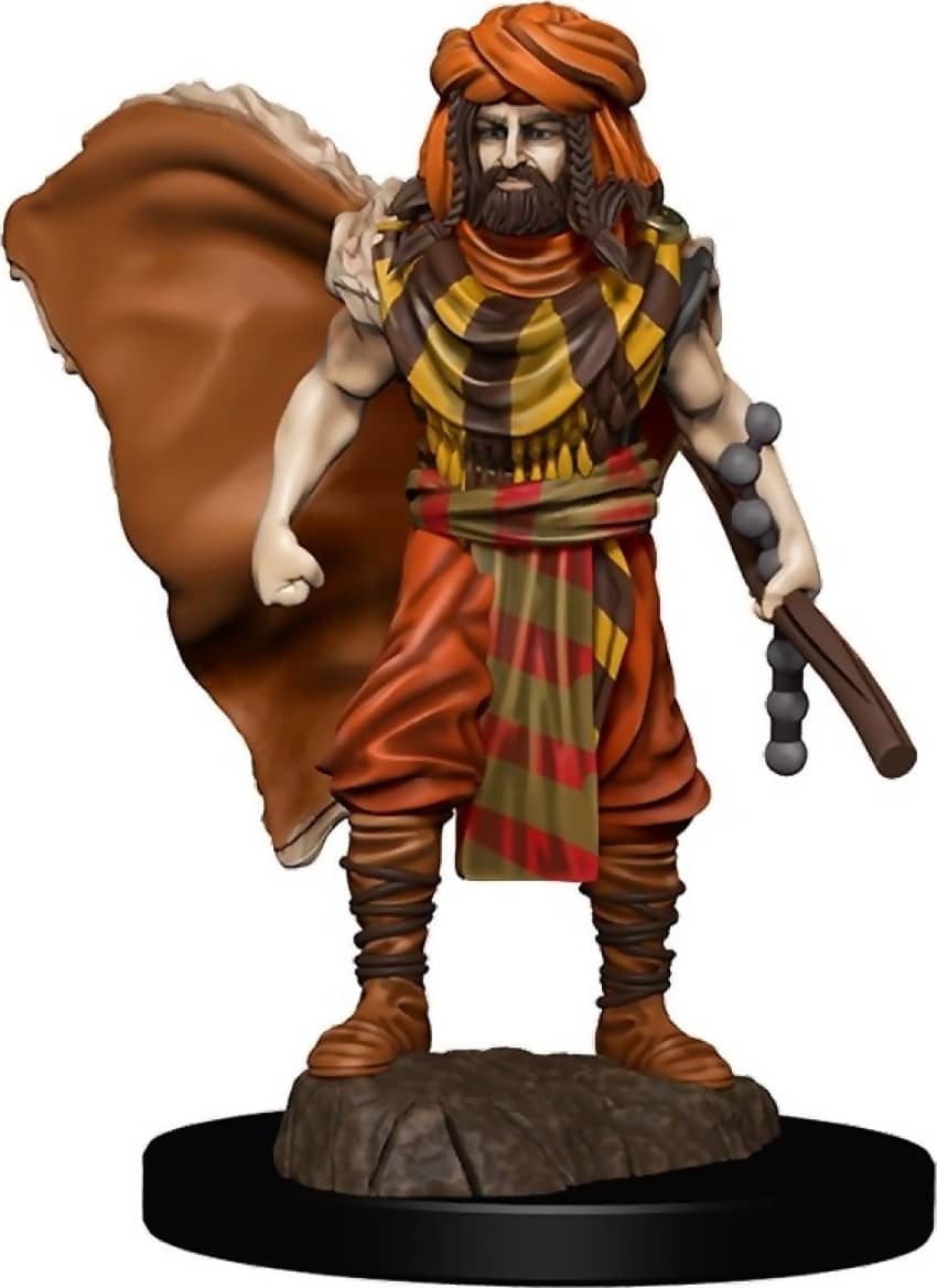 Dungeons & Dragons - Premium Human Druid Male Miniature