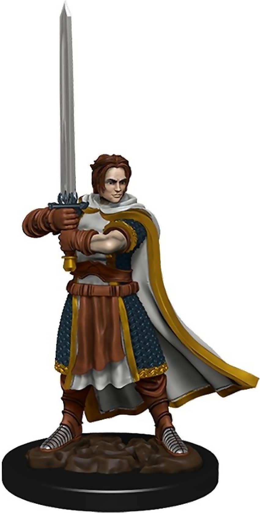 Dungeons & Dragons - Premium Human Fighter Male Miniature