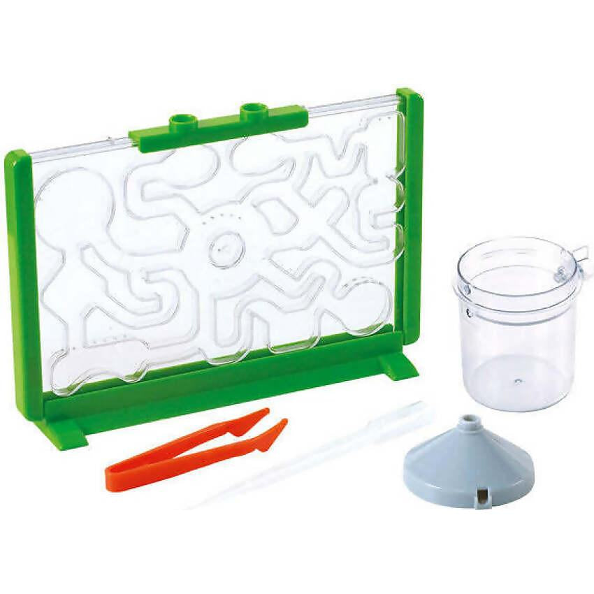 Playgo Toys Ent. Ltd. - Ant Farm Discovery