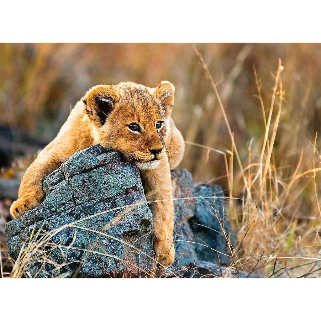 Ravensburger - Little Lion Jigsaw Puzzle 200 Pieces