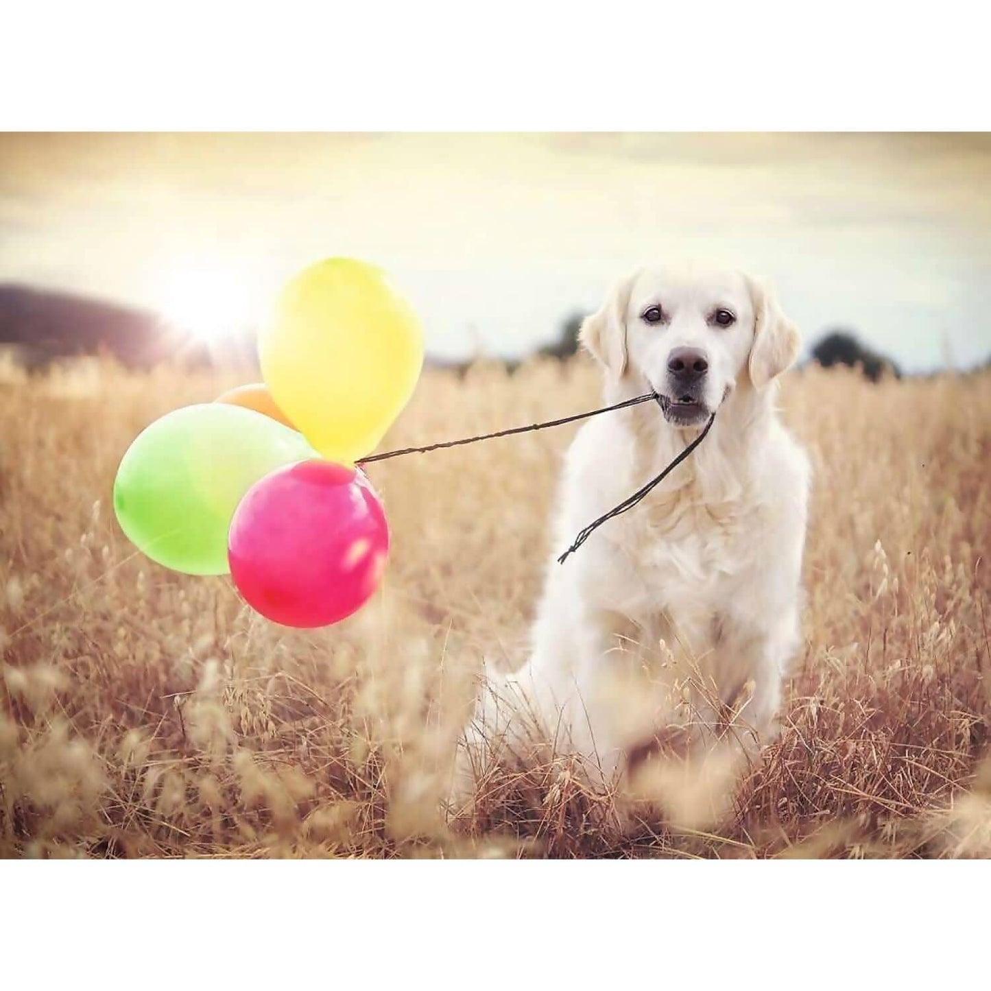 Ravensburger - Balloon Party Jigsaw Puzzle 500 Pieces