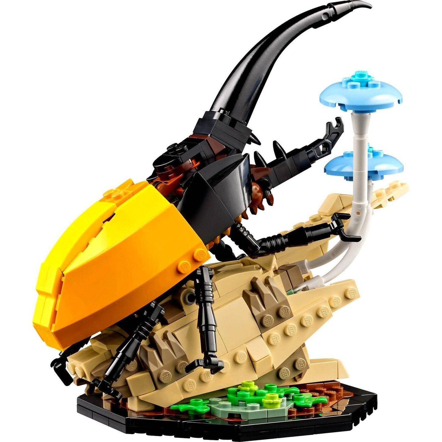 LEGO 21342 The Insect Collection - Ideas