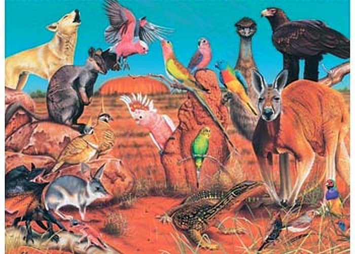 Blue Opal - Wild Australia The Outback 100 Pieces Jigsaw Puzzle