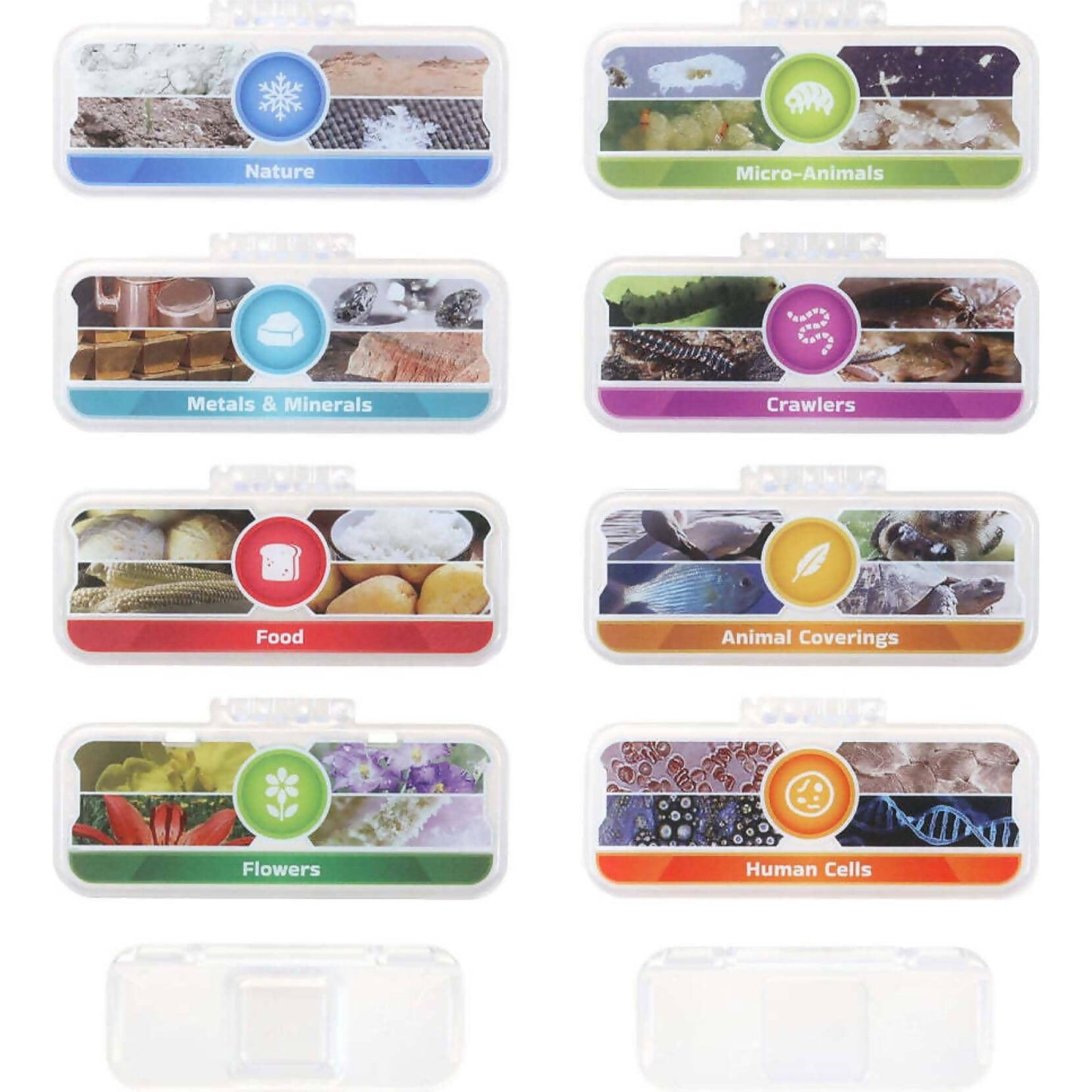 Leapfrog - Magic Adventures Microscope