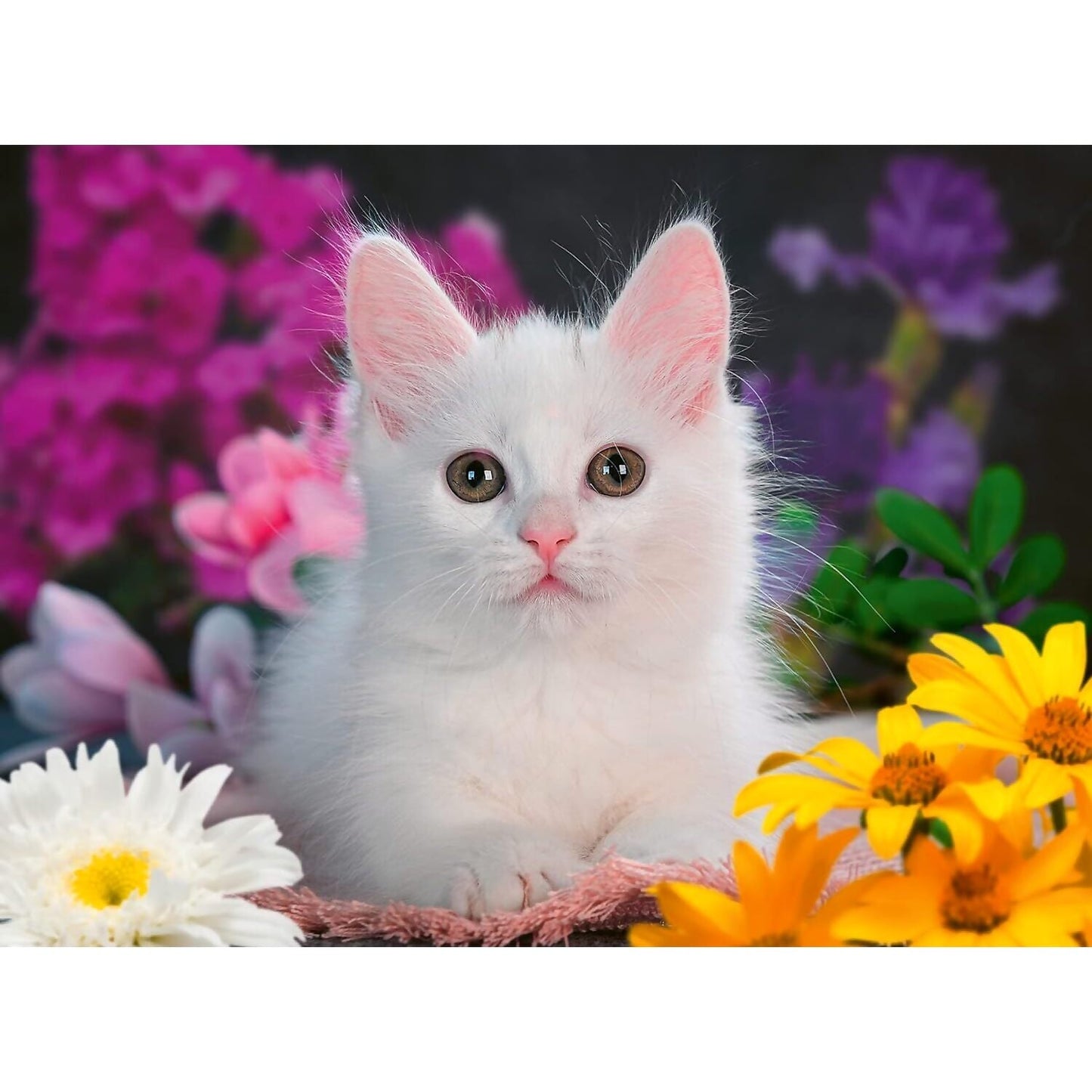 Ravensburger - Glitter Cat Jigsaw Puzzle XXL 100 Pieces