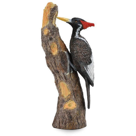 CollectA - Ivory Billed Woodpecker Bird Figurine