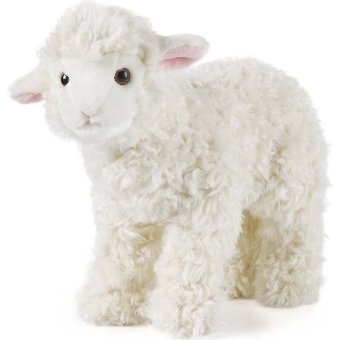 Living Nature - Lamb 24cm Plush