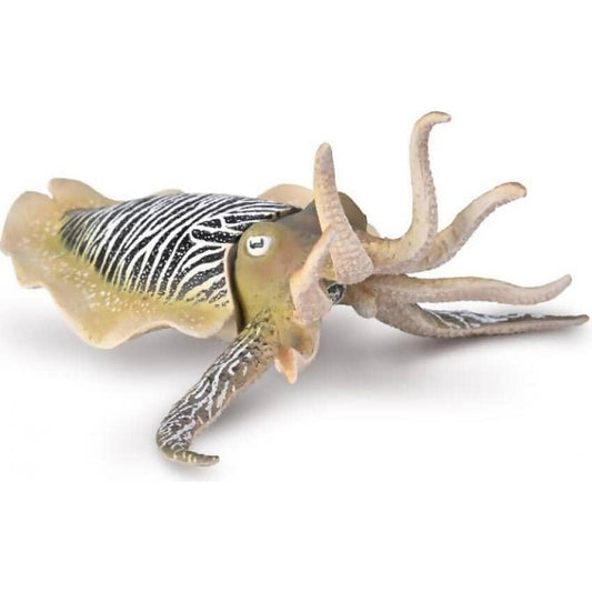 CollectA - Common Cuttlefish Animal Figurine