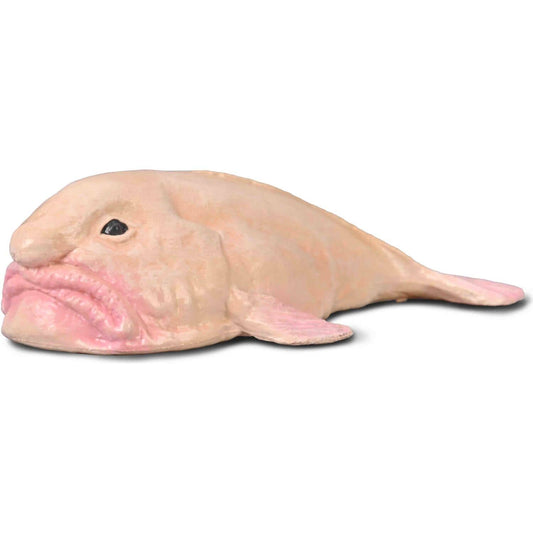 CollectA - Blobfish Animal Figurine