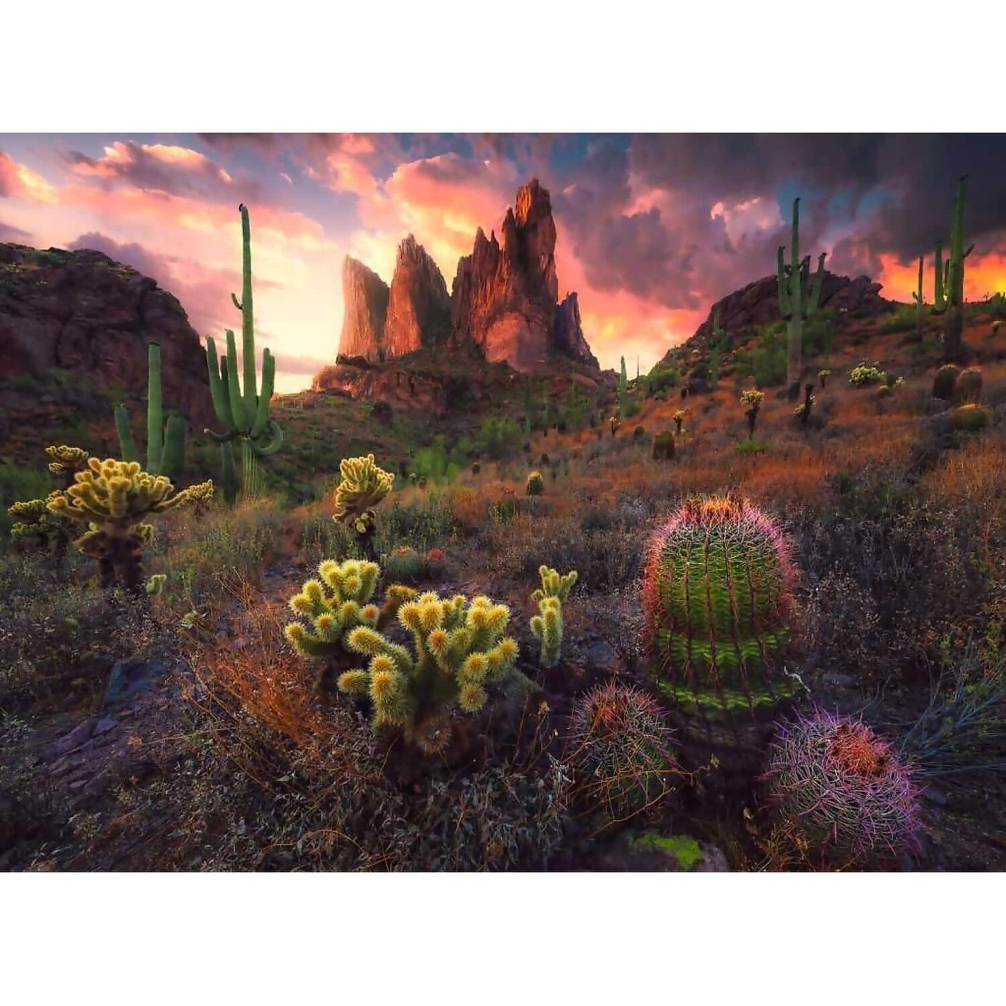 Ravensburger - Cactus Jigsaw Puzzle 500pc