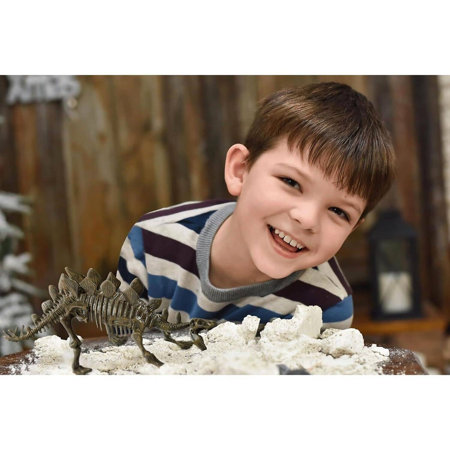 Science4You - Stegosaurus Fossil Excavation Kit