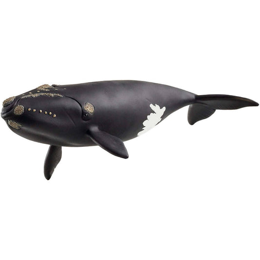 Schleich - North Atlantic Right Whale