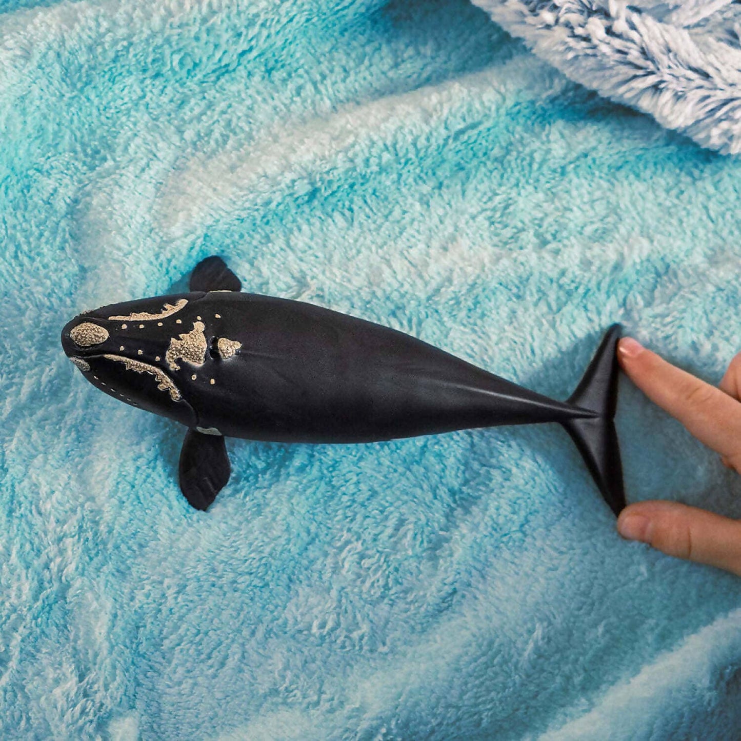 Schleich - North Atlantic Right Whale