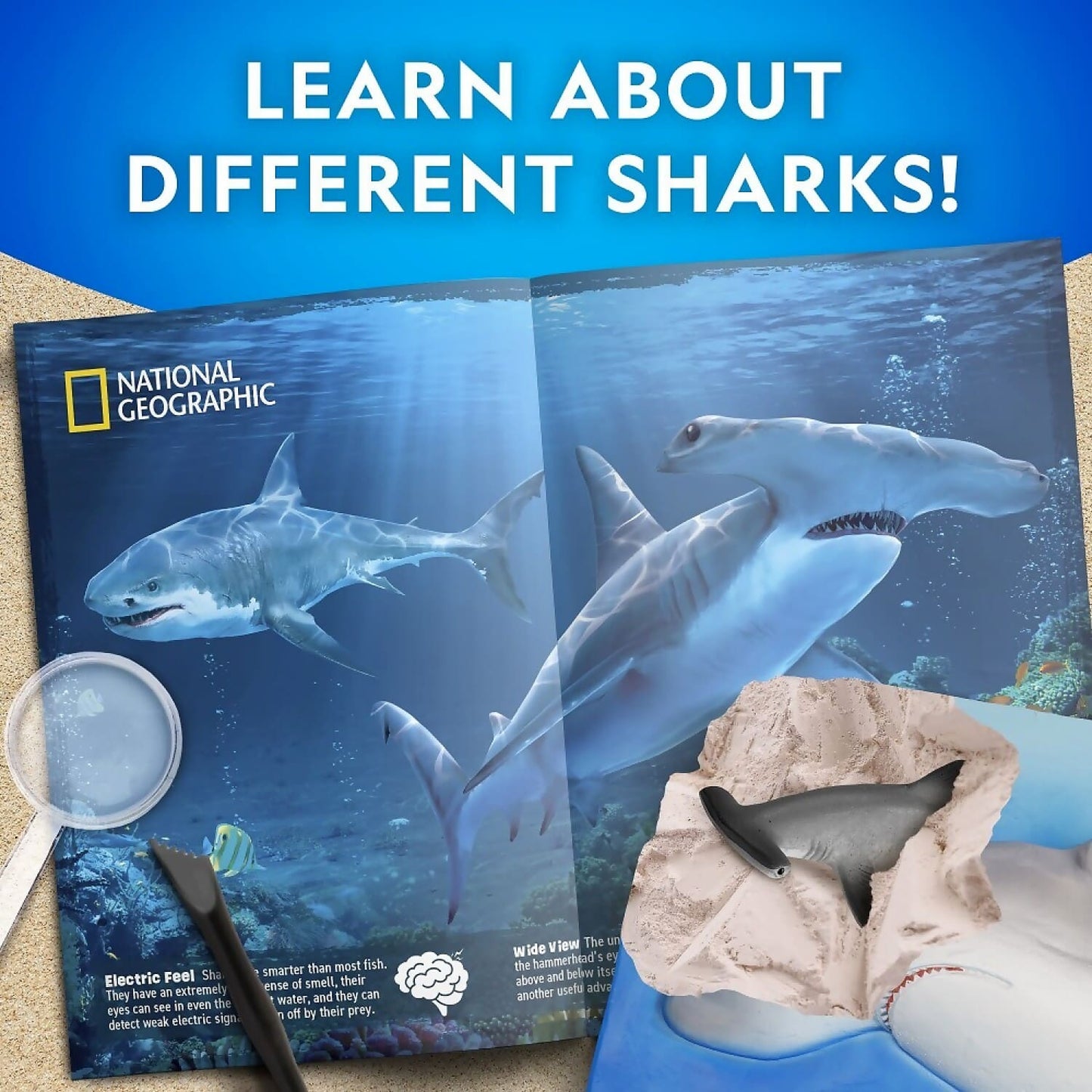 National Geographic - Shark Dig Kit