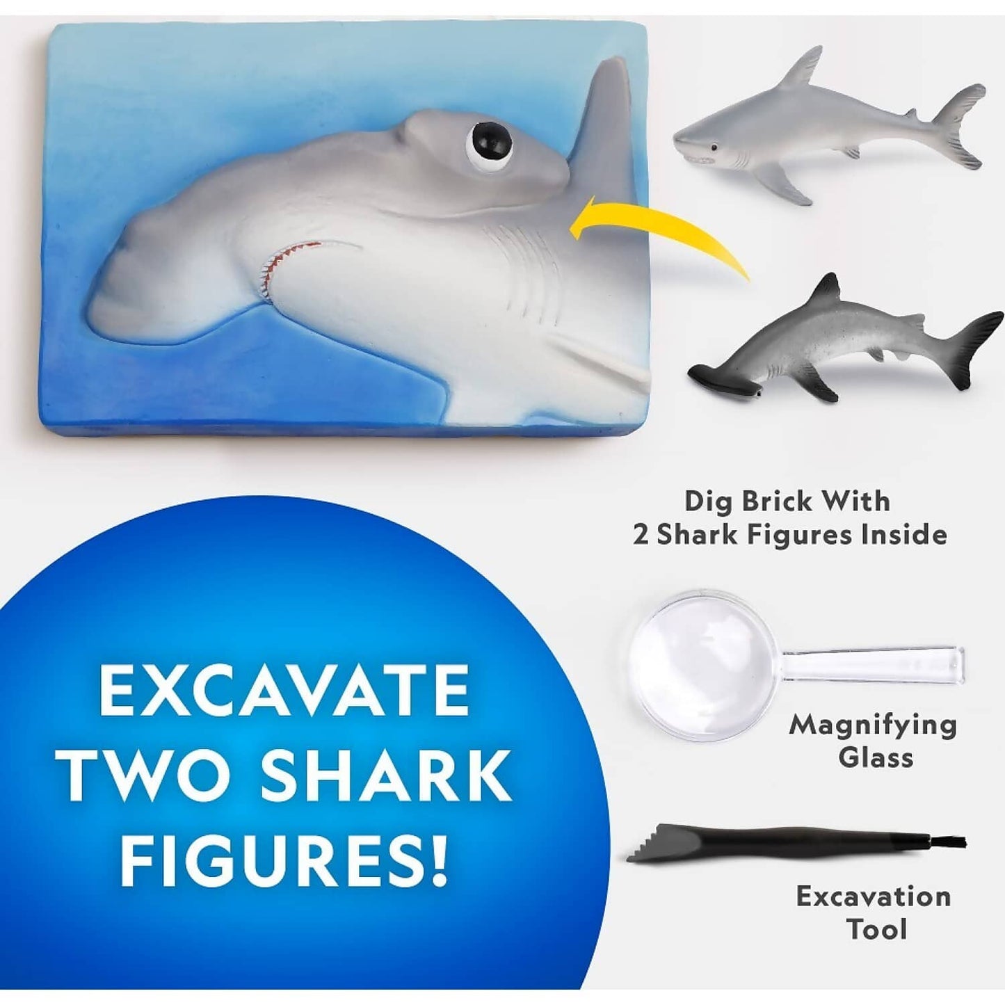 National Geographic - Shark Dig Kit