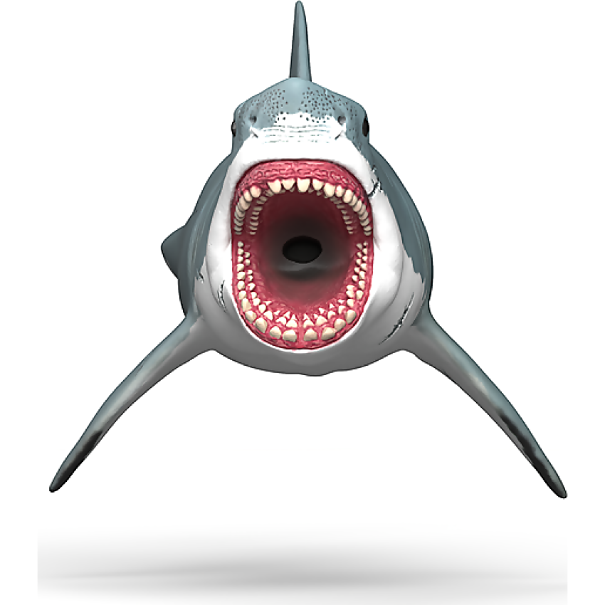 Schleich - Megalodon