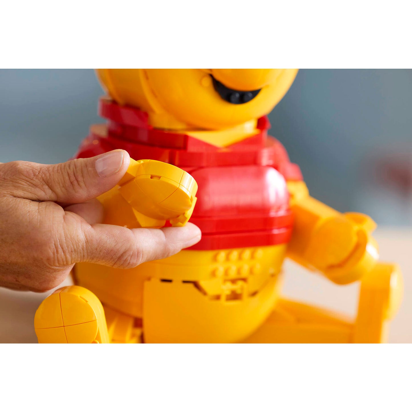 LEGO 43300 Winnie the Pooh - Disney
