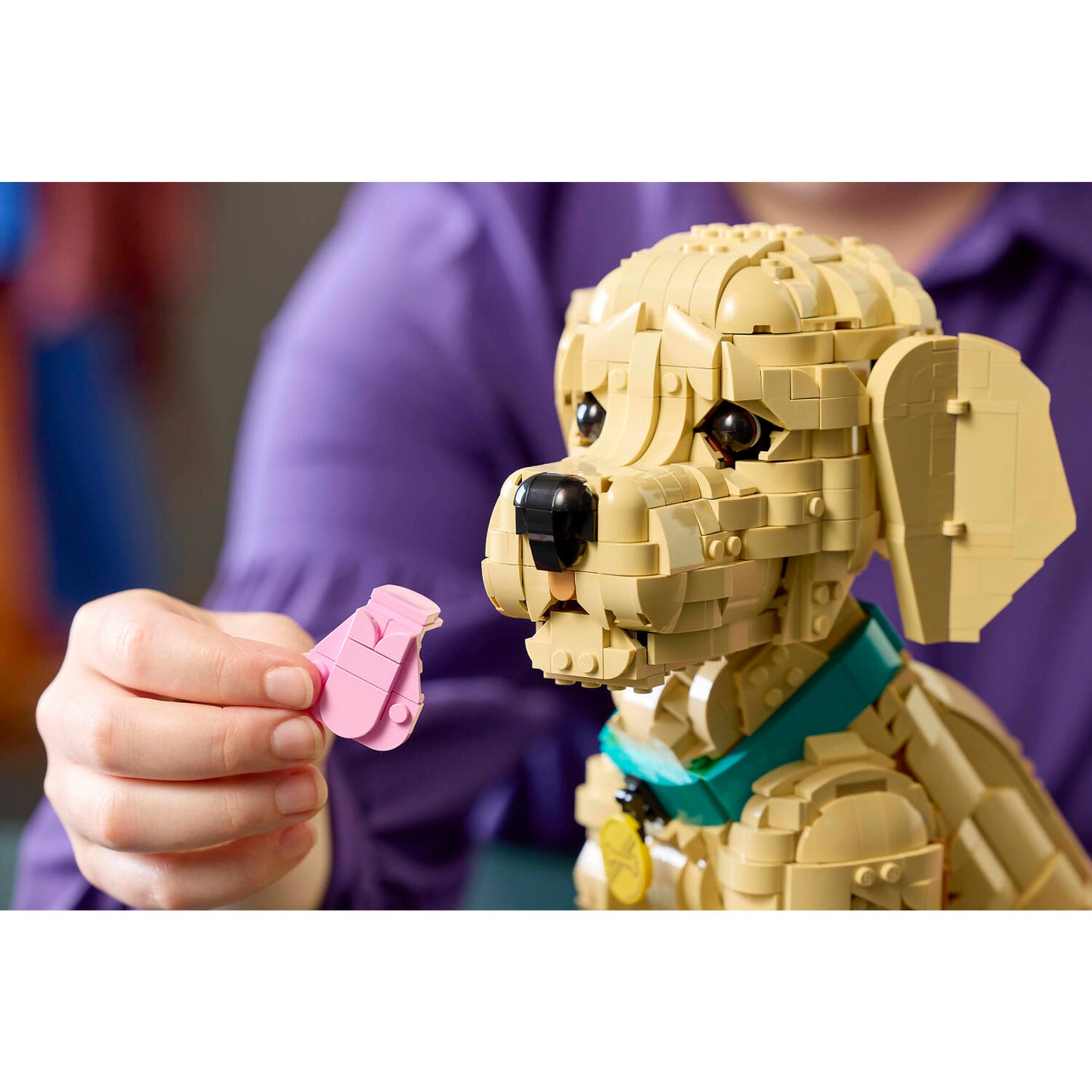 LEGO 11384 Golden Retriever Puppy - Icons