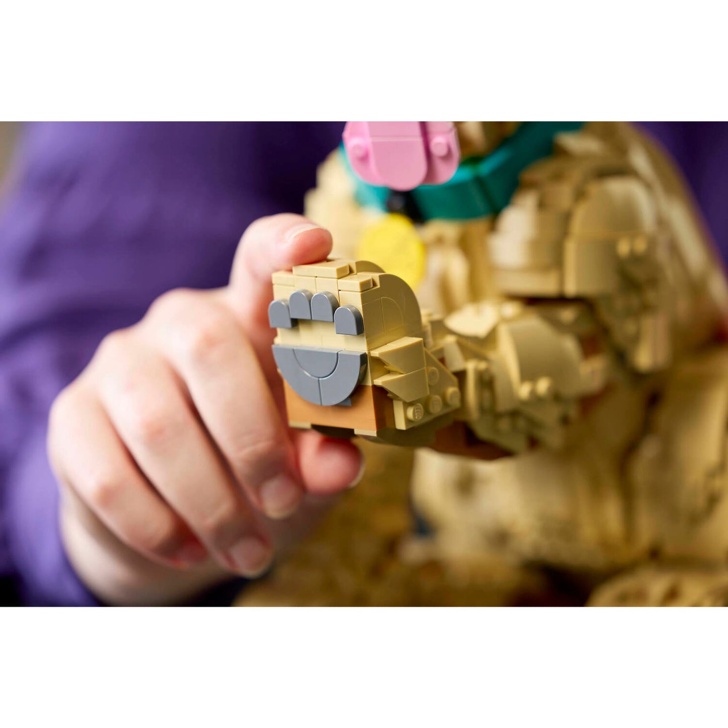 LEGO 11384 Golden Retriever Puppy - Icons