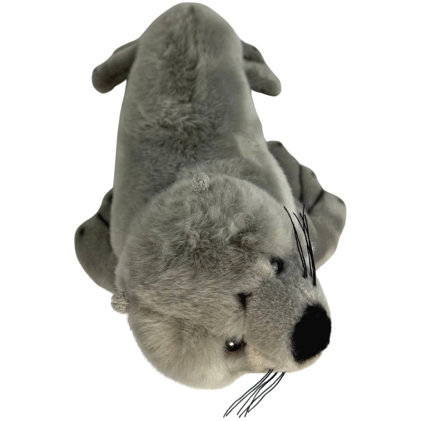 Bocchetta - Mawson Australian Sea Lion Soft Plush 25cm